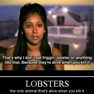 Lobsters