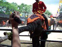 K640_100_0518.JPG K640_100_0518.JPG