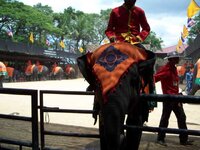 K640_100_0519.JPG K640_100_0519.JPG