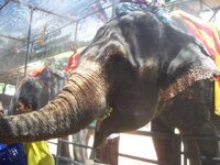 K640_100_0524.JPG K640_100_0524.JPG