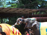 K640_100_0549.JPG K640_100_0549.JPG