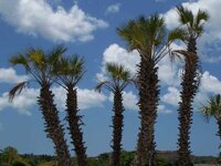 K640_100_0602.JPG K640_100_0602.JPG