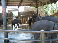 K640_100_0563.JPG K640_100_0563.JPG