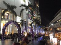 PB220168 (Large).jpg