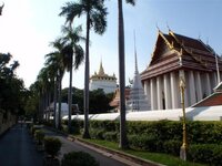 PB230271 (Large).jpg