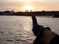 PB210117 (Large).jpg