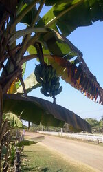 isaan_7.jpg isaan_7.jpg