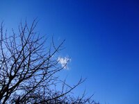 dsc00772_fileminimizer.jpg
