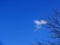 dsc00774_fileminimizer.jpg