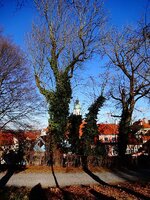 dsc00798_fileminimizer.jpg