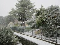 winterimg_0345.jpg