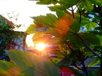 dsc07518001.jpg