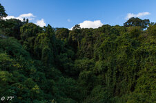 IMG_8133.jpg IMG_8133.jpg