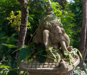 IMG_8391.jpg IMG_8391.jpg