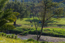 IMG_8393.jpg IMG_8393.jpg