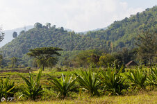 IMG_8395.jpg IMG_8395.jpg