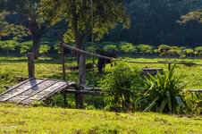 IMG_8397.jpg IMG_8397.jpg