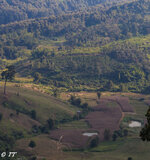 IMG_8408.jpg IMG_8408.jpg