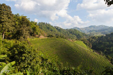 IMG_8411.jpg IMG_8411.jpg