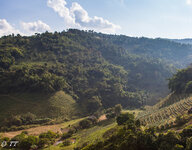 IMG_8410.jpg IMG_8410.jpg