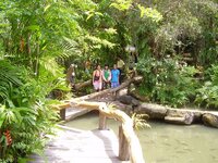 k-p1280066.jpg k-p1280066.jpg