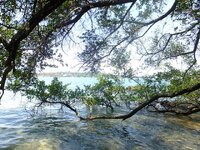 k-dscf5041.jpg k-dscf5041.jpg