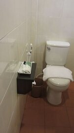 rose1_16.jpg rose1_16.jpg