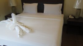 rose1_17.jpg rose1_17.jpg