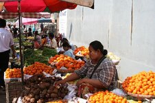 img_9514.jpg