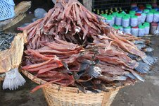 img_9078.jpg