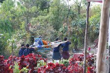 img_9362.jpg