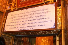 img_9446.jpg