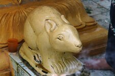 img_9495.jpg