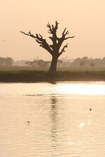 img_0511.jpg img_0511.jpg