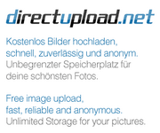 lyliwsg7.jpg