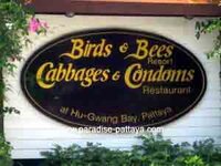 cabbages_and_condoms_restaurant_pattaya.jpg