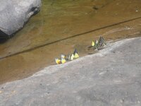 k-dsc00427.jpg