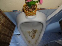 dsc05115001_106794.jpg