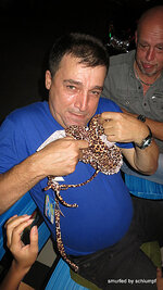 a_102-010.jpg