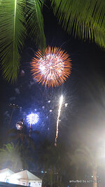a_137-016.jpg
