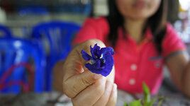dsc00015.jpg