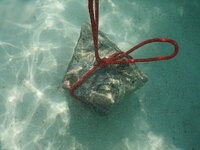 dscn0128.jpg