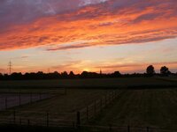 blick_aus_dem_fenster_020.jpg