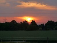 blick_aus_dem_fenster_030.jpg