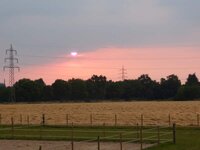 blick_aus_dem_fenster_3a1_001.jpg
