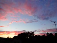 dsc03419001.jpg