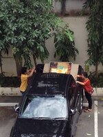 image_356655.jpg