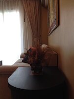 image_962023.jpg