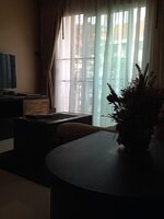 image_737994.jpg