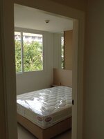 image_463921.jpg